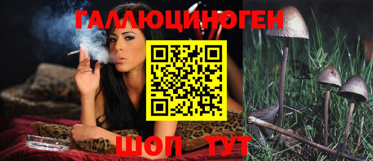 Псилоцибиновые грибы Magic Shrooms  Домодедово 