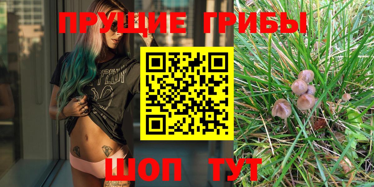 Галлюциногенные грибы Magic Shrooms Домодедово