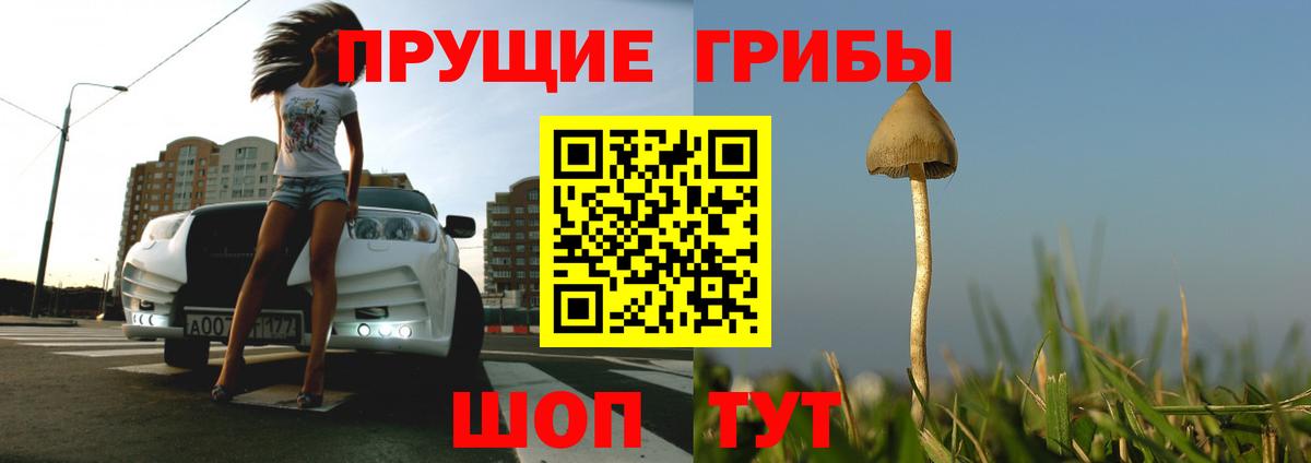 Галлюциногенные грибы Домодедово